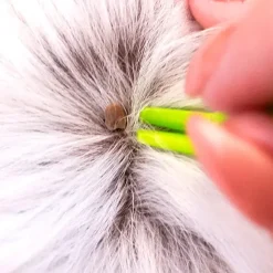 Helse Til Hunde|Hundeferien^Ollipet Flåttang 3 stk