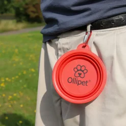 Løbeturen|Hundeferien^Ollipet Foldbar Vandskål | OUTLET