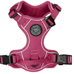 Hundeseler|Ollipet For Wagging Tails^Ollipet For Wagging Tails | Adventure Hundesele 2.0
