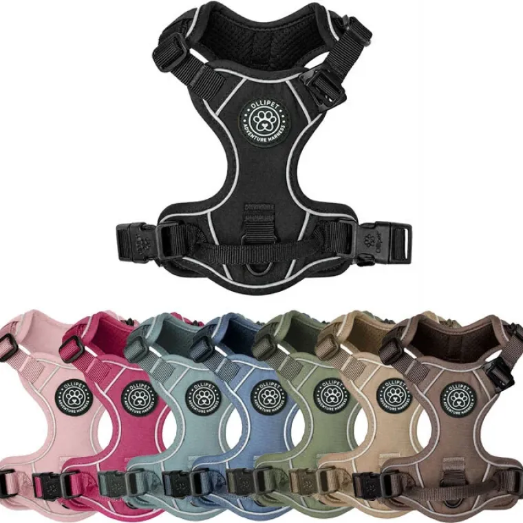 Hundeseler|Ollipet For Wagging Tails^Ollipet For Wagging Tails | Adventure Hundesele 2.0
