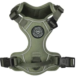 Hundeseler|Ollipet For Wagging Tails^Ollipet For Wagging Tails | Adventure Hundesele 2.0