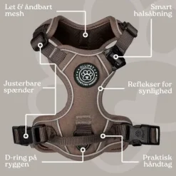 Hundeseler|Ollipet For Wagging Tails^Ollipet For Wagging Tails | Adventure Hundesele 2.0