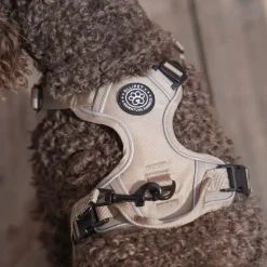 Hundeseler|Ollipet For Wagging Tails^Ollipet For Wagging Tails | Adventure Hundesele 2.0