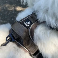 Hundeseler|Køleartikler^Ollipet For Wagging Tails | Airflex hundesele