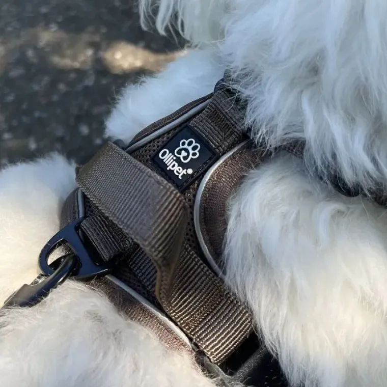 Hundeseler|Køleartikler^Ollipet For Wagging Tails | Airflex hundesele