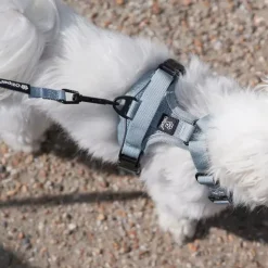 Hundeseler|Køleartikler^Ollipet For Wagging Tails | Airflex hundesele