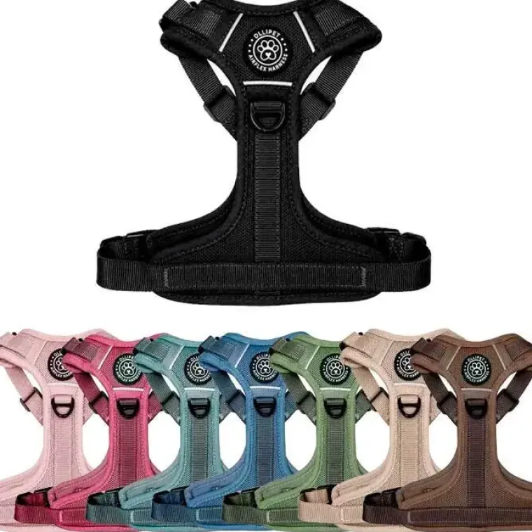 Hundeseler|Køleartikler^Ollipet For Wagging Tails | Airflex hundesele