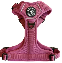 Hundeseler|Køleartikler^Ollipet For Wagging Tails | Airflex hundesele