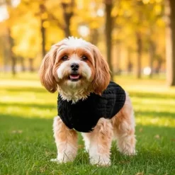 Hvalpetøj|Hundeferien^Ollipet for Wagging Tails | Hundesweater