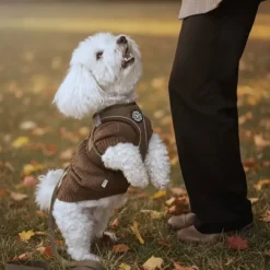 Hvalpetøj|Hundeferien^Ollipet for Wagging Tails | Hundesweater