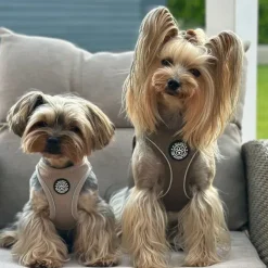 Hundeseler|Bestsellers^Ollipet For Wagging Tails | Step in Sele