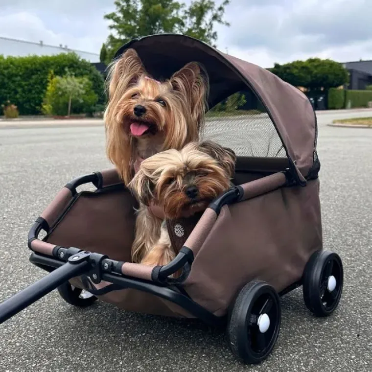 Hundeklapvogn|Udstillingsvogne Og Tilbehør^Ollipet For Wagging Tails Trækvogn | Lille