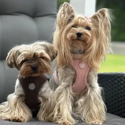 Hundeseler|Ollipet For Wagging Tails^Ollipet For Wagging Tails | Velluto step-in sele