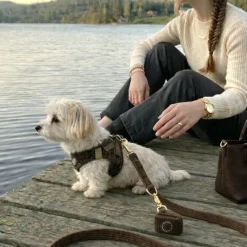 Hundeseler|Ollipet For Wagging Tails^Ollipet For Wagging Tails | Velluto step-in sele