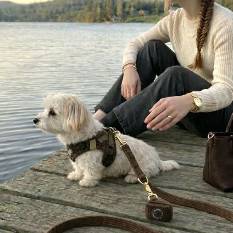 Ollipet For Wagging Tails|Hundesnor^Ollipet For Wagging Tails | Velluto hundesnor