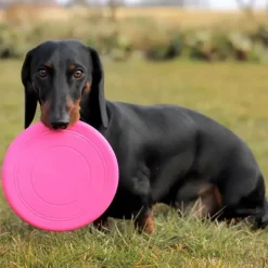 Bolde|Ollipet Hundelegetøj^Ollipet Frisbee Classic Slim