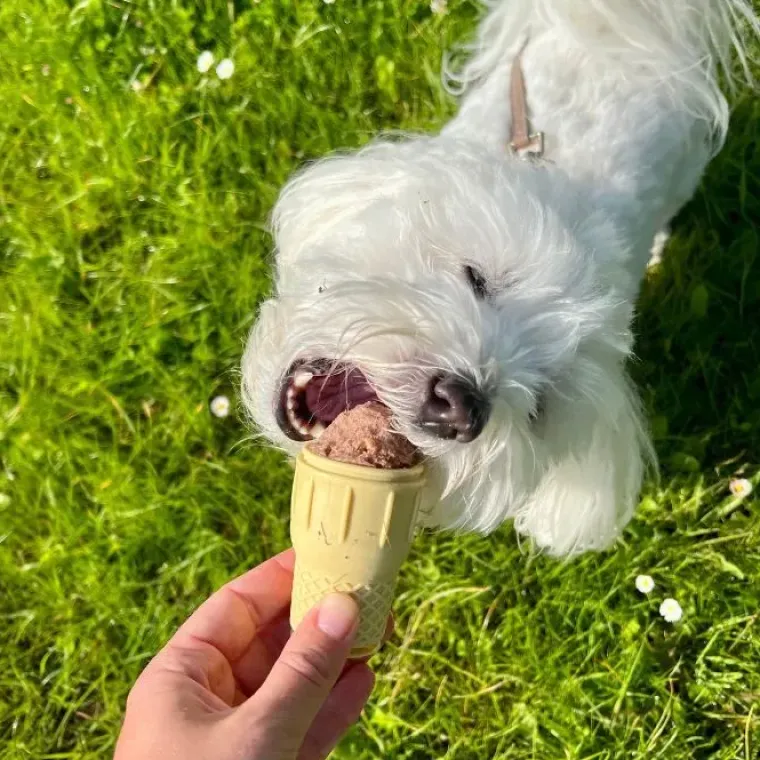 ☀️Sommerklar|Artikler Til Hjemmet^Ollipet FrostSnack Isform | Lav en hundeis