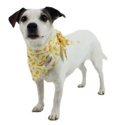Påskekurven|Hundetøj^Ollipet Frugt Bandana | OUTLET