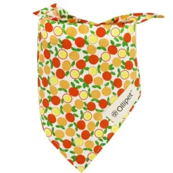 Påskekurven|Hundetøj^Ollipet Frugt Bandana | OUTLET