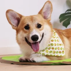 Påskekurven|Hundetøj^Ollipet Frugt Bandana | OUTLET