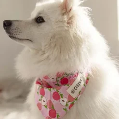Påskekurven|Hundetøj^Ollipet Frugt Bandana | OUTLET