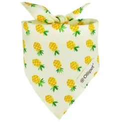 Påskekurven|Hundetøj^Ollipet Frugt Bandana | OUTLET