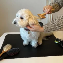 Show Grooming|Pelsplejeredskaber^Ollipet Groomingmåtte
