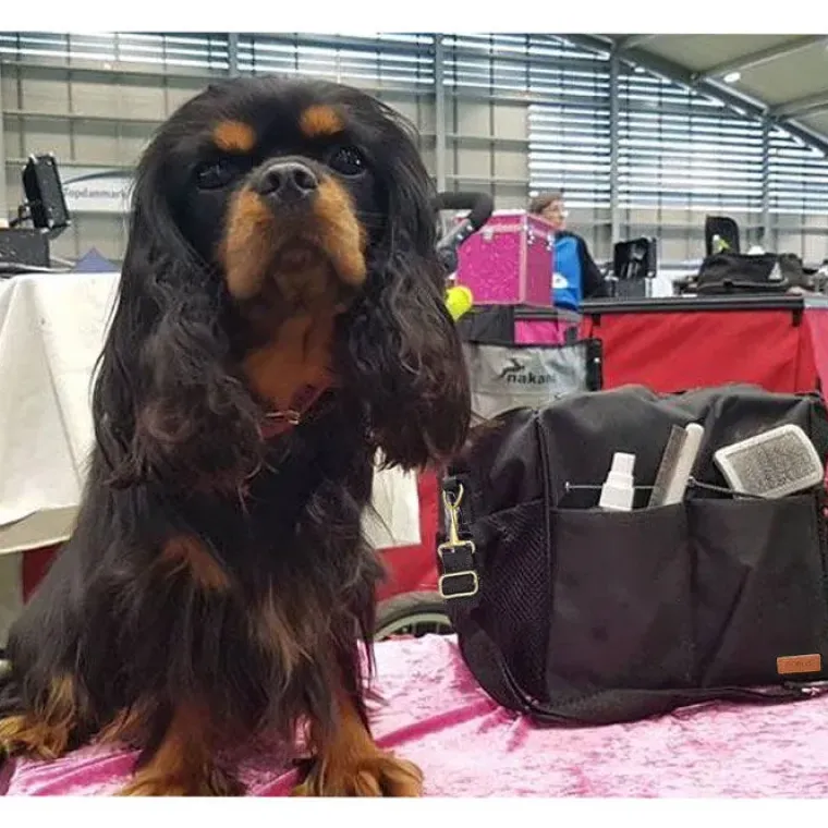 Groomingtasker|Groomingtasker^Ollipet Groomingtaske | Black/Gold