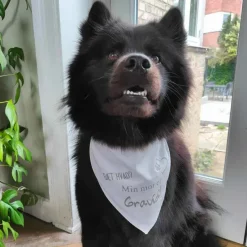 Puppy Shower Party|Hundetøj^Ollipet "Gæt Hvad? Min mor er Gravid" Bandana
