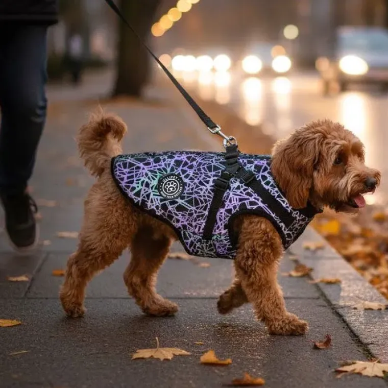 Ollipet High Tech Refleks|Led Lys Og Refleks^Ollipet High Tech Refleks Hundejakke | m. Sele
