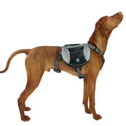 Hundeseler|Hundeferien^Ollipet Hiking Gear Backpack