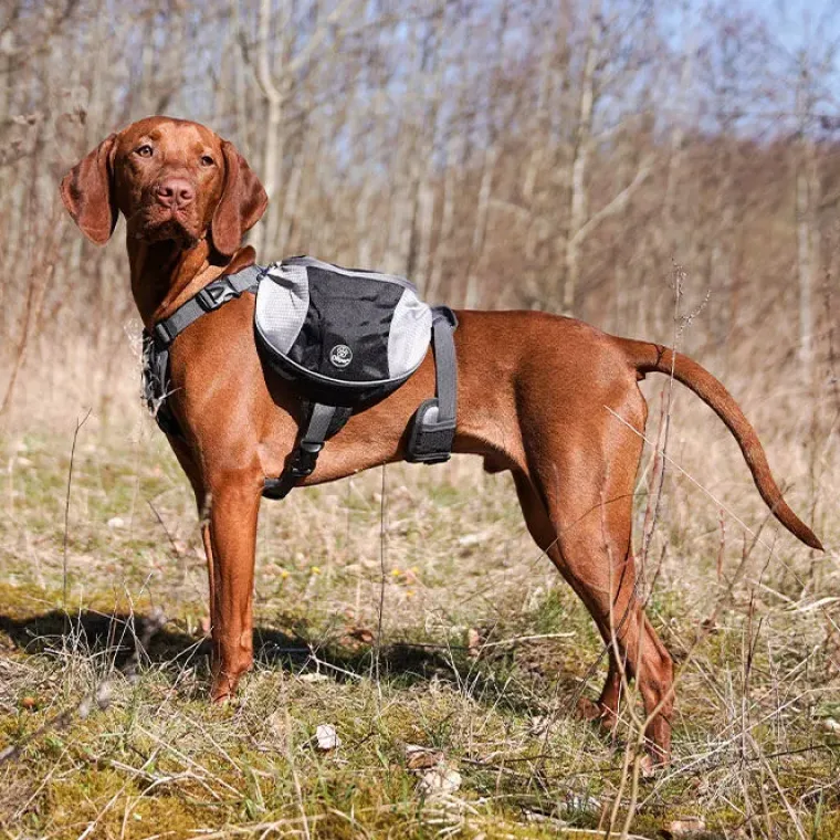 Hundeseler|Hundeferien^Ollipet Hiking Gear Backpack