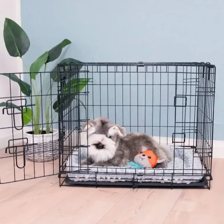 Biltransport Af Hund|Hundeferien^Ollipet Hundebur af Stål | Flere størrelser