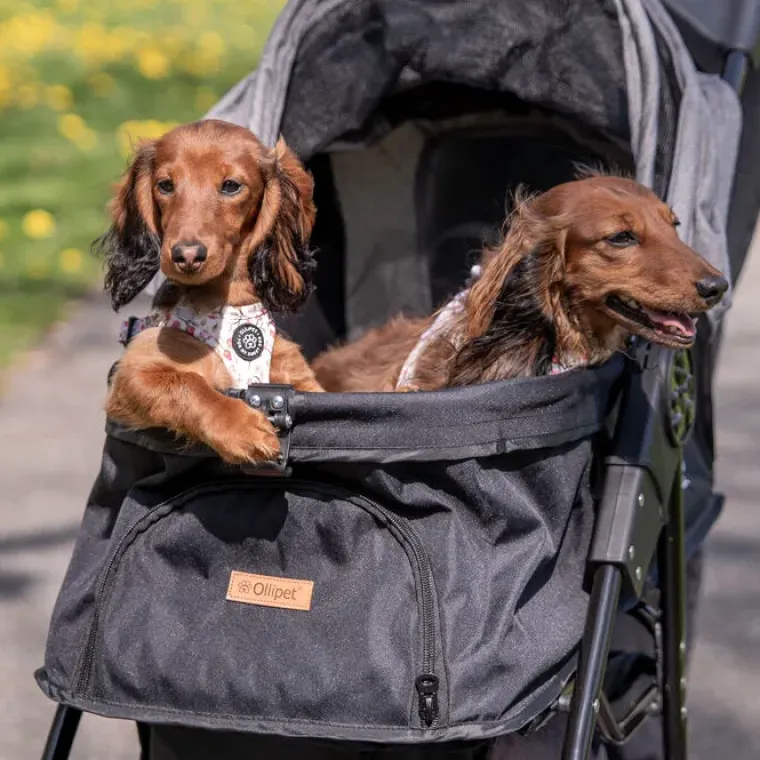Hundeklapvogn^Ollipet Hundeklapvogn Milano | Hundejogger