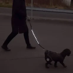 Løbeturen|Hundesnor^Ollipet hundesnor med LED-lys | Genopladelig | OUTLET
