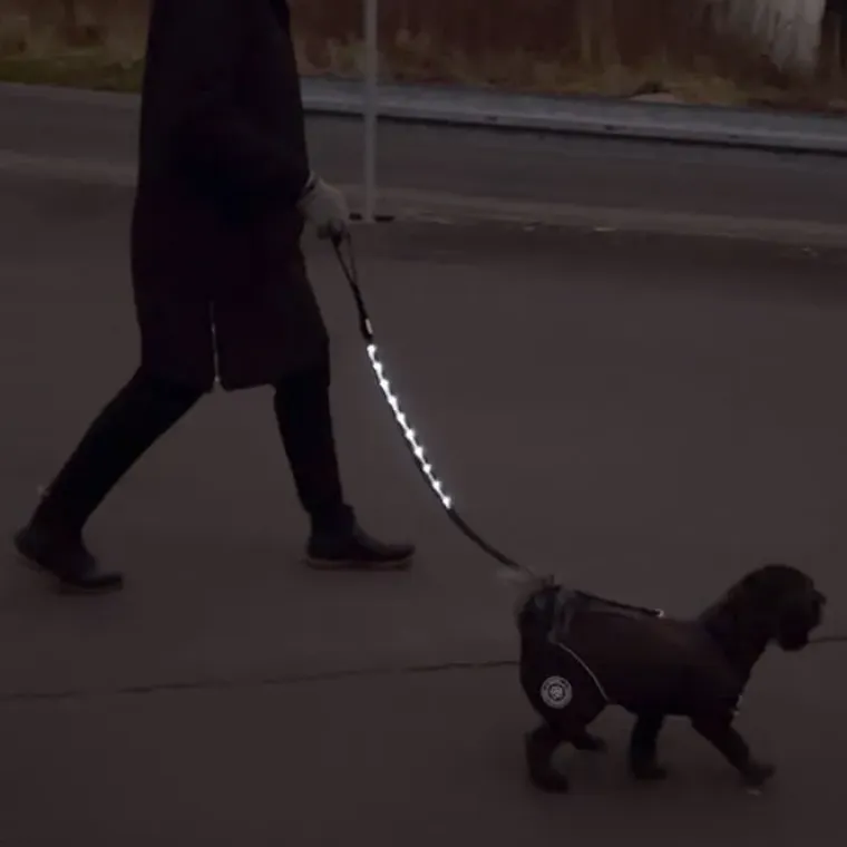 Løbeturen|Hundesnor^Ollipet hundesnor med LED-lys | Genopladelig | OUTLET