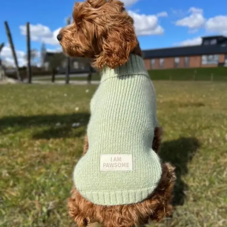 ❄️Klar Til Vintervejret|Hundetøj^Ollipet Hundesweater | I Am Pawsome