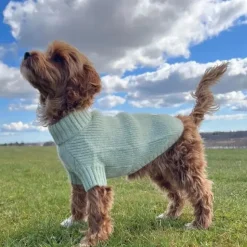 ❄️Klar Til Vintervejret|Hundetøj^Ollipet Hundesweater | I Am Pawsome