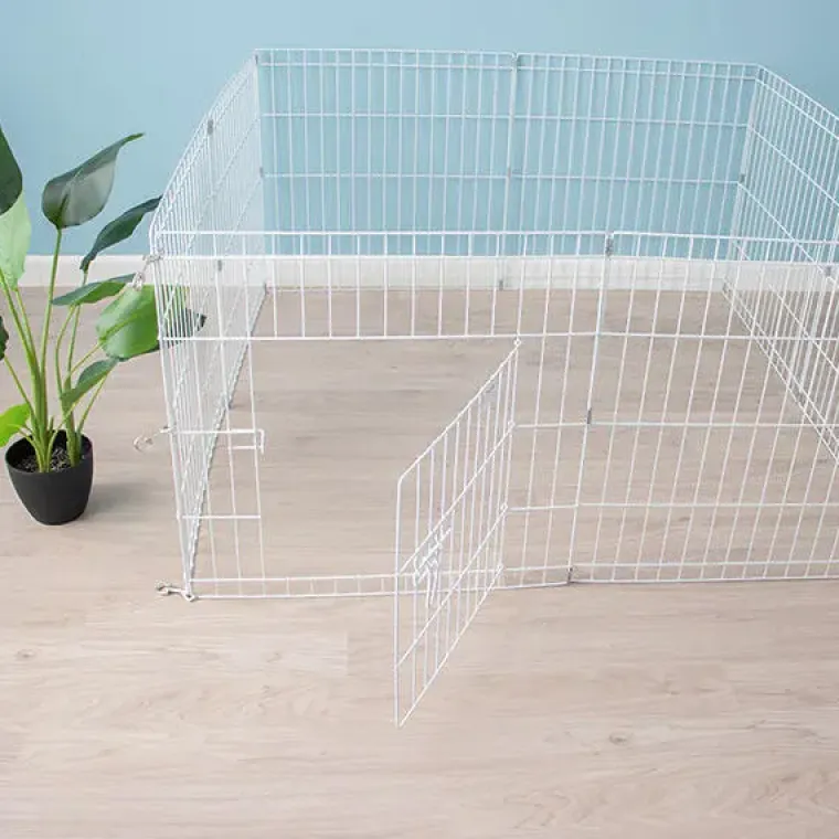 Til Opdrættere|Hvalpegård^Ollipet Hvalpegård Slimline