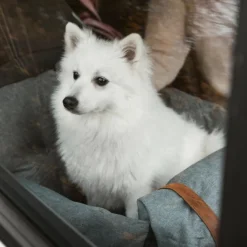 Autostol Til Hunde|Biltransport Af Hund^Ollipet Karma Deluxe Autokurv 2i1