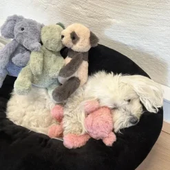 Hvalpelegetøj|Plyslegetøj Til Hunde^Ollipet Krammedyr