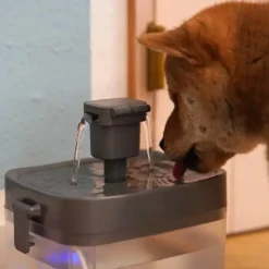 Skåle Til Mad Og Vand^Ollipet Mini Pet Water Fountain