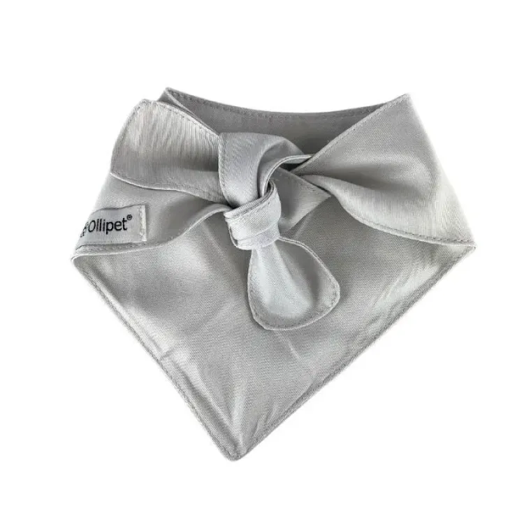 Hundetøj^Ollipet "My parents are getting me a little baby" bandana