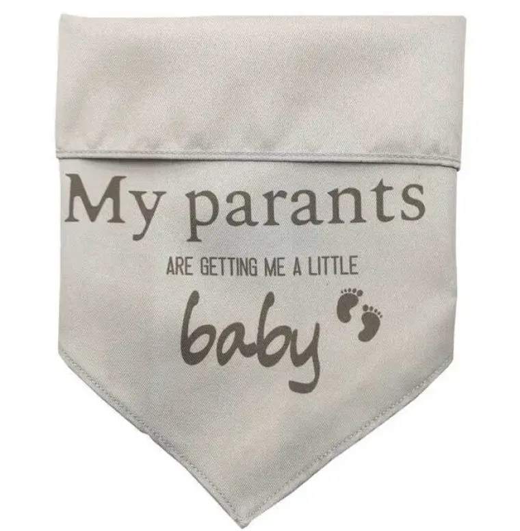 Hundetøj^Ollipet "My parents are getting me a little baby" bandana