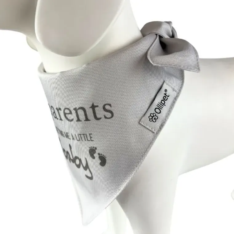 Hundetøj^Ollipet "My parents are getting me a little baby" bandana