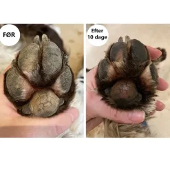 Poter Og Kløer|Hundeferien^Ollipet Naturlig Potevoks | 60g