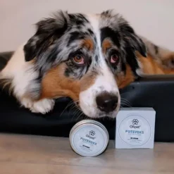 Poter Og Kløer|Hundeferien^Ollipet Naturlig Potevoks | 60g