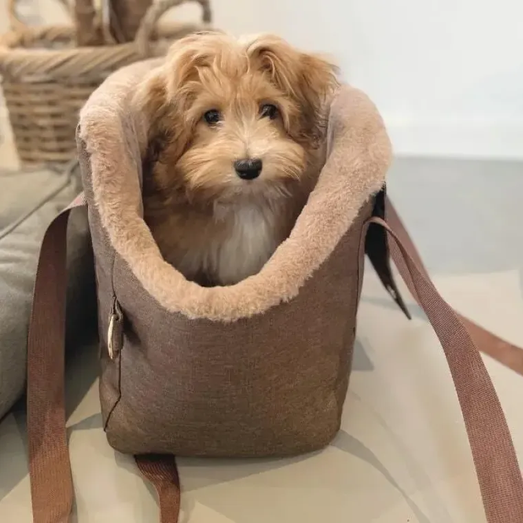 Hundetaske|Transporttasker Til Hunde^Ollipet New York hundetaske | Slidstærk