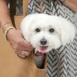 Hundetaske|Hundeferien^Ollipet Nice Hundetaske
