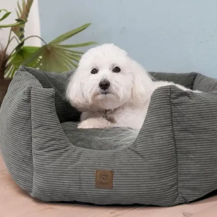 Bestsellers|Hundesenge^Ollipet Nordic Star Hundekurv